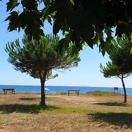 Maison D'une A A 100 M De La Plage Avec Vue Sur La Mer Jardin Amenage Et Wifi Casa vacanze Poggio Mezzana